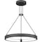 Quoizel Drury Pendant Led Light Petwer Cast Iron PCDRU2824PCI - alternate 1
